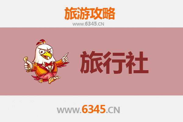 北海合浦旅行社精选推荐：地道体验与专业服务指南